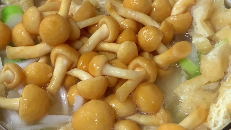 和食の基本！おいしい味噌汁の作り方【大きいナメコとネギと油揚げの味噌汁】