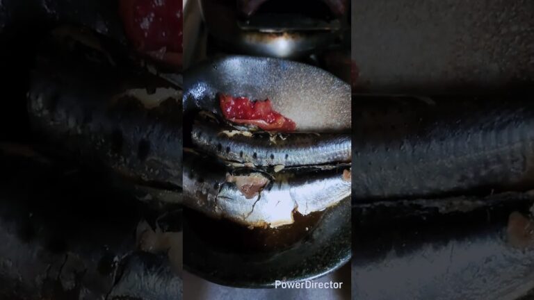 いわしの梅煮を作った #Shorts #料理