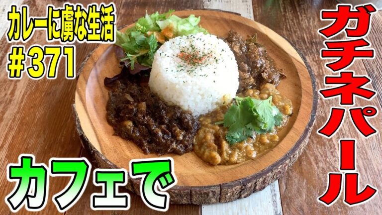 お洒落なカフェなのにガチネパールカレー？！ネパールで修行された【登戸】の旅カフェシャンティさんで絶品の超本格カレーに悶絶！【くわちゃんねる】カレーに虜な生活＃371
