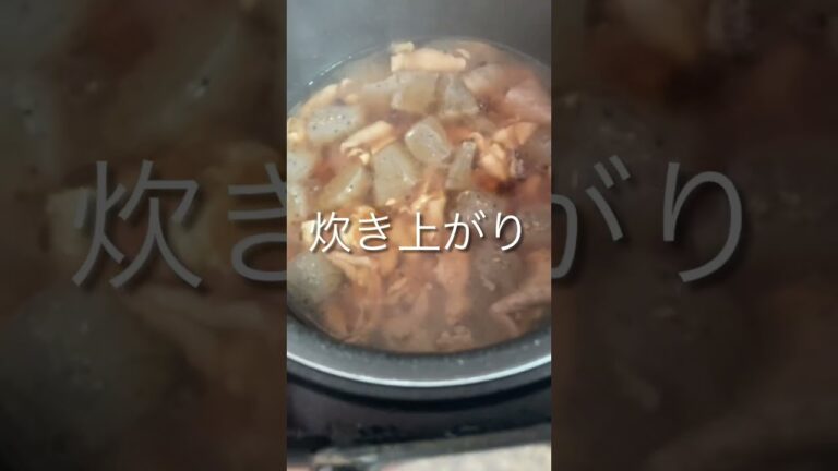 我が家のズボラ炊飯器モツ煮込み　#short