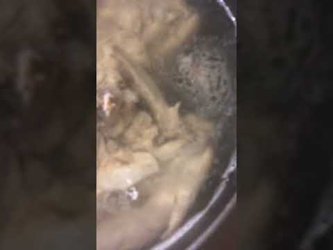 20190101  鶏ガラ清湯