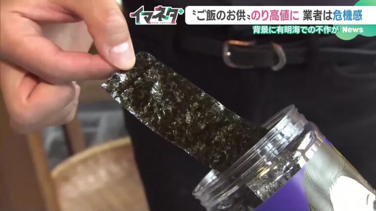 止まらない「のり」の価格上昇　影響はまちのお弁当屋にも　国内では不作が続く (24/06/17 17:52)