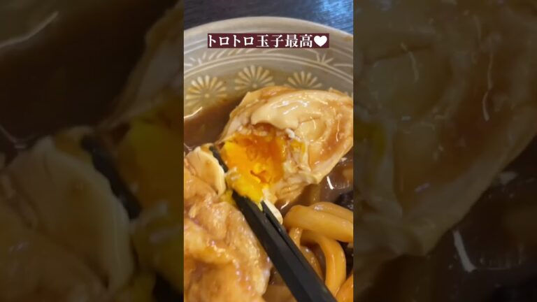 【イケ麺セット】コスパ最強！きしめんと味噌カツ丼で名古屋飯堪能🎵&極上みそ煮込みうどん｜かどせん守山店【とちカツTV】