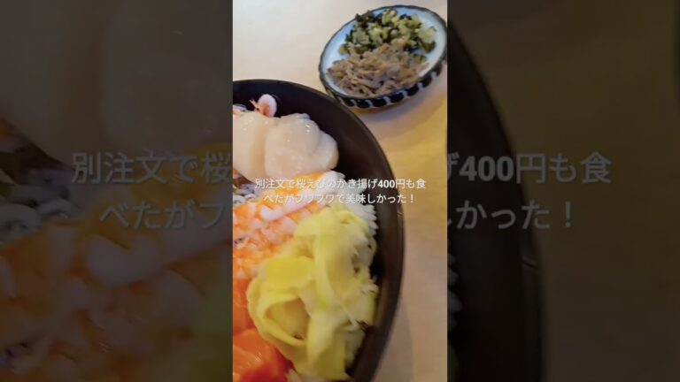 羽衣丼1900円【いちまる水産清水港海鮮まぐろ屋】静岡県静岡市清水区【三保の松原】【デブ活】【日本列島リポート】【2022年】【グルメ】