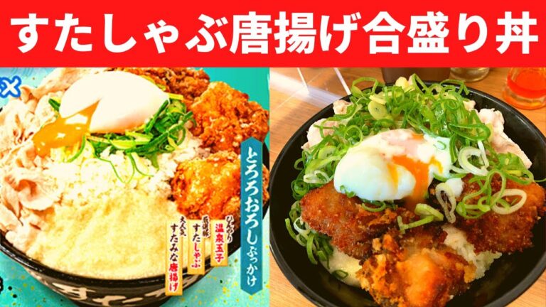 【世界一面白いYouTube動画】伝説のすた丼屋 すたしゃぶ唐揚げ合盛り丼