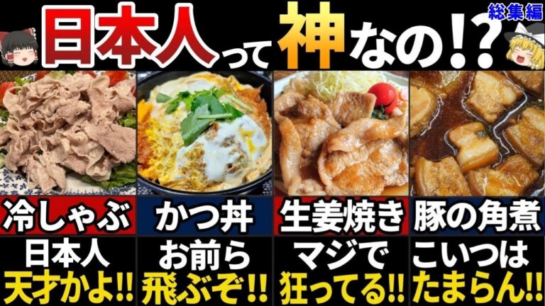 【ゆっくり解説】海外の人が羨む！美味すぎる日本の豚肉料理７選【総集編】