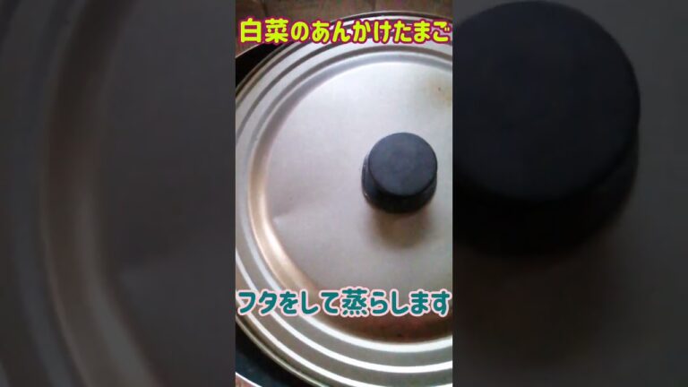 【手料理】白菜のあんかけたまご作ってみた♪ #shorts #料理 #白菜