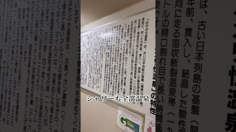 【山梨観光】源泉100%アルカリ性の温泉で食べる豚角煮丼⁈