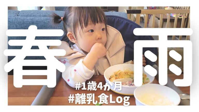 1歳4か月【初めての春雨】保育園入園前食材