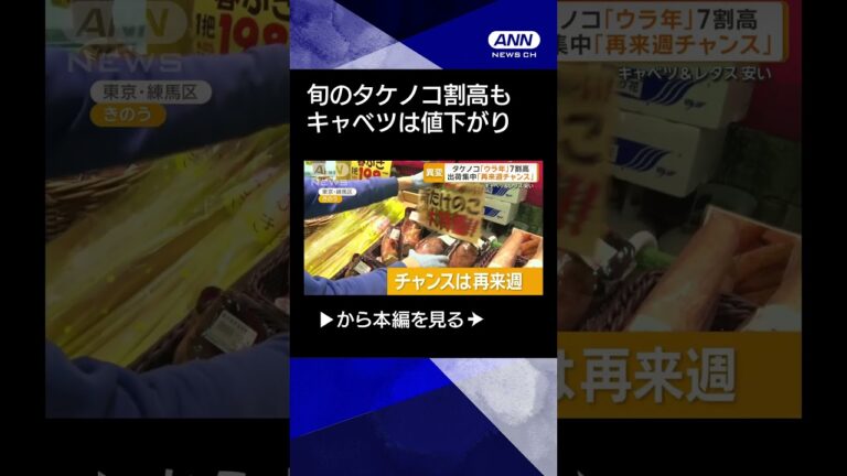 【ニュース】旬のタケノコ割高も…葉物野菜は軒並み安く　キャベツようやく値下がり「客が笑顔」#shorts