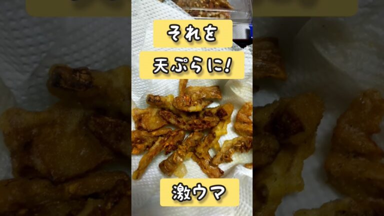 乾燥タケノコからのメンマからの天ぷらが旨い