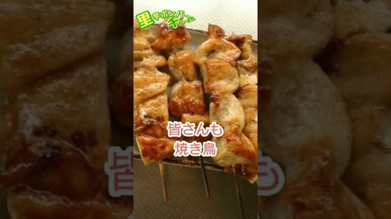 【飯テロ】【食事vlog】焼き鳥の味付けは俺が作った塩ダレに限る❗ #shorts #飯テロ #焼き鳥 #スマホで撮影 #shorts料理 #shortsグルメ