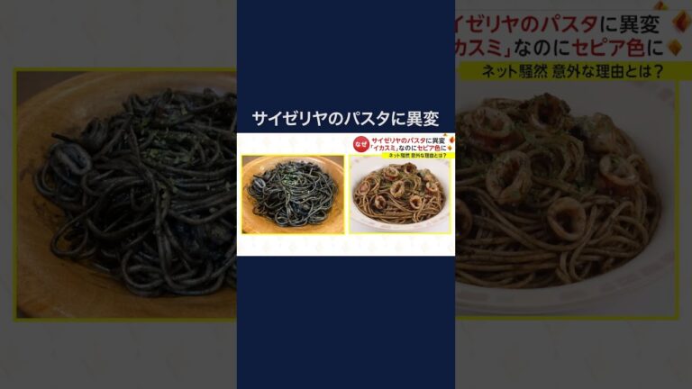 サイゼリヤのパスタに異変　「イカスミ」なのにセピア色に　ネット騒然 意外な理由とは? (2024/02/21) #shorts
