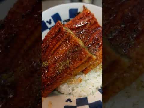 じっくり酒蒸ししたシンプルなうな重が一番美味い！ #shorts #料理 #レシピ #うなぎ #うな重