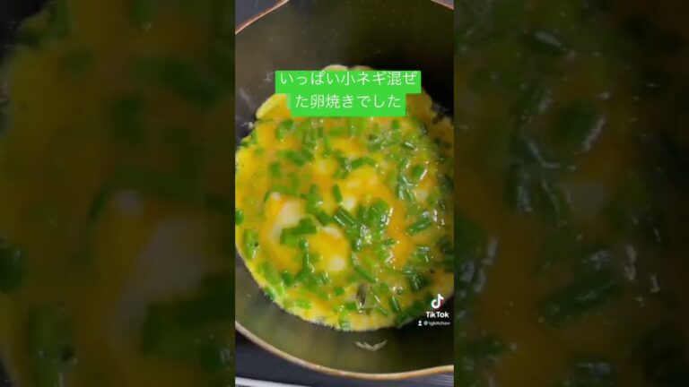 Trứng rán ngập hành | いっぱい小ネギ混ぜた卵焼き