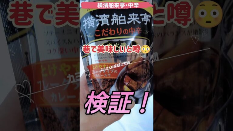 検証！巷で美味しいと噂の「横濱舶来亭・中辛」はホントに美味しいのか？ レシピ通りに作って検証してみました🥸 #ストウブ鍋 #市販カレー #レシピ通り