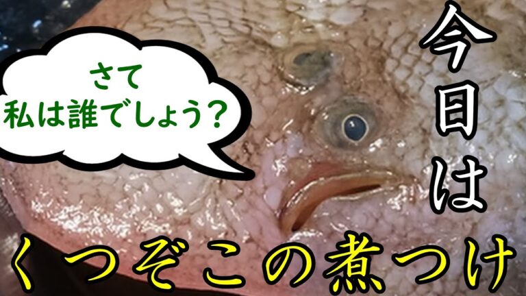 【福岡県の郷土料理】くつぞこの煮つけ作りました