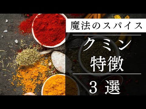 クミンの特徴３選 驚くべき世界 歴史、料理、健康効果