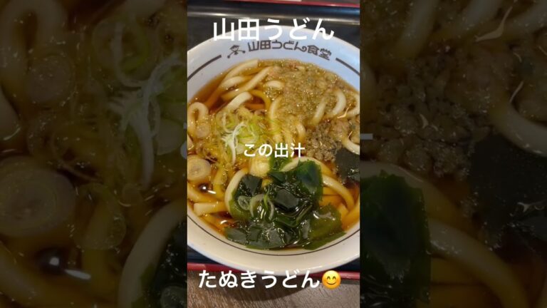 山田うどんたぬきうどん　#shorts @MarkRamen