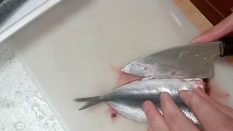 鰯の捌き方！（生姜煮用とフライ用）