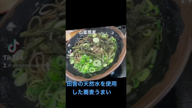 もう春なので、山菜蕎麦です。