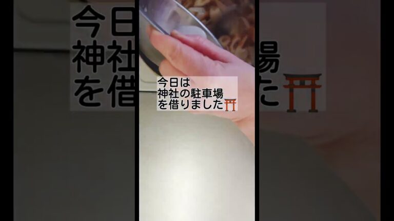 簡単10分丼ぶり弁当♪ちくわと玉ねぎの卵とじ  #お弁当 #お弁当作り #節約レシピ #丼ぶり #肉なし料理