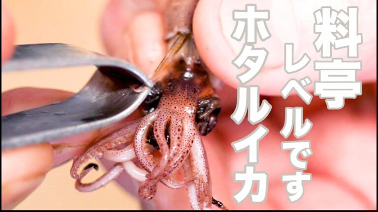 簡単に美味しく！ホタルイカ下処理と秘伝のなめろうレシピご紹介致します。