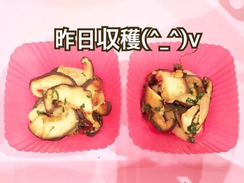 お弁当今日の一品 椎茸大葉の粉チーズ醤油  OBENTO today's one article