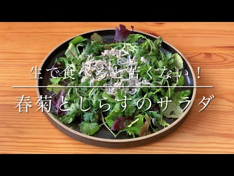 1分レシピ！生春菊としらすのサラダ
