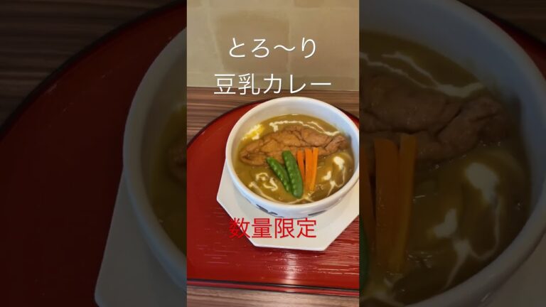 とろ〜り豆乳きつねカレーうどん