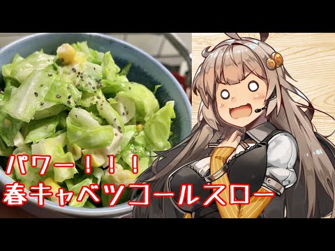 え、一皿で様々な栄養が取れるサラダを！？【春キャベツ コールスローパワーサラダ】