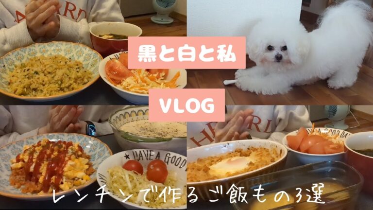【vlog】時短簡単レンチンご飯シリーズ/パラパラカニカマチャーハン/フワフワオムライス/カリッとチーズキムチチャーハン