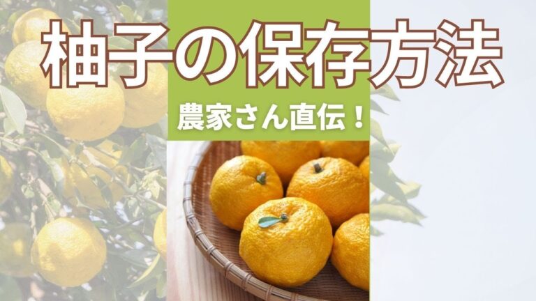 柚子農家さん直伝！ 柚子の保存方法 　#柚子　#オンラインお菓子教室　#Shorts