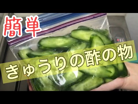 【一人暮らし】【簡単】きゅうりの酢の物
