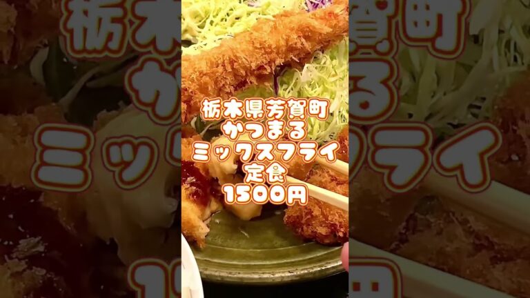 【超人気店】お手頃な値段の絶品のミックスフライ【栃木県芳賀町】とんかつ かつまる【栃木グルメ】#shorts