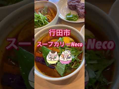 行田 スープカリーNeco(ネコ)でランチ！ゴロゴロ野菜のヘルシーカレーが絶品♪