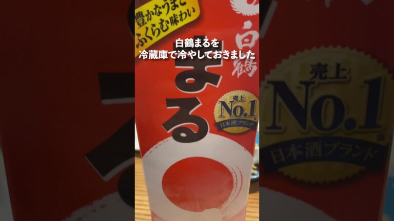 【晩酌】冷奴をあてに、冷酒を飲む。日本酒の効果がすごい！ #shortsvideo