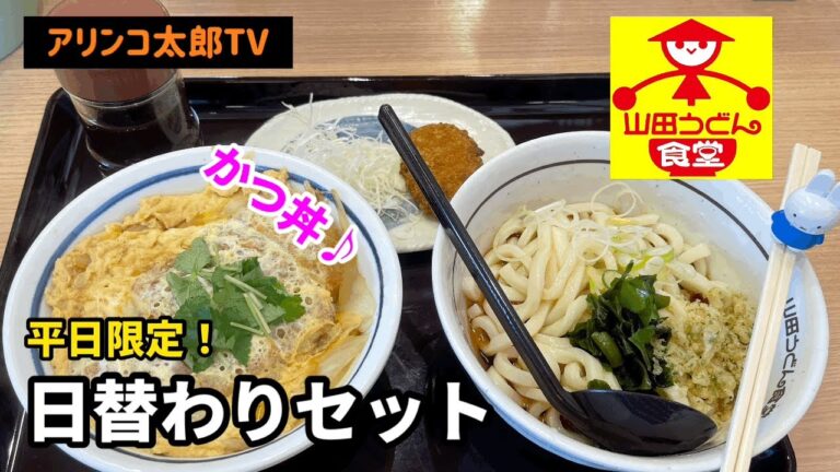 アリンコ太郎TV  山田うどん【日替わりセット(水曜日)】冷やしたぬきうどん　かつ丼　poke  JapaneseFood