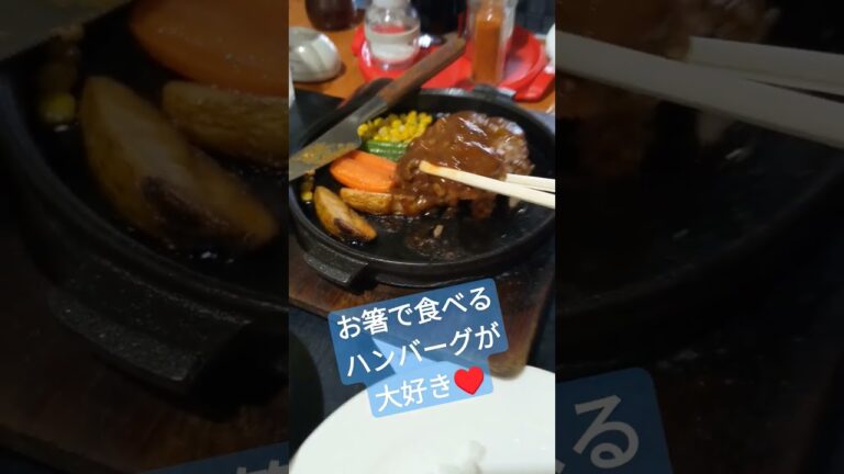 🐂ハンバーグと焼肉の両方を一度に楽しめる幸せ〜