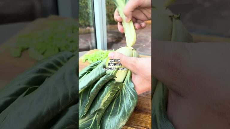 Ribollita 🍞Warm, hearty, and packed with Tuscan flavors! 🇮🇹✨