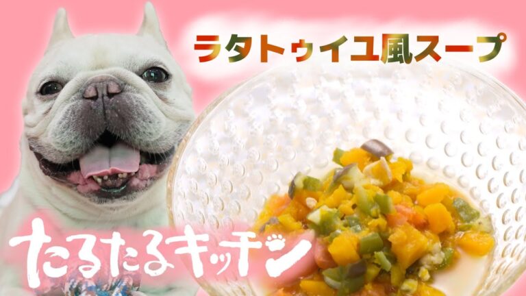 【簡単！獣医師監修・犬の手作りごはん】夏バテ予防！夏野菜のラタトゥイユ風スープ