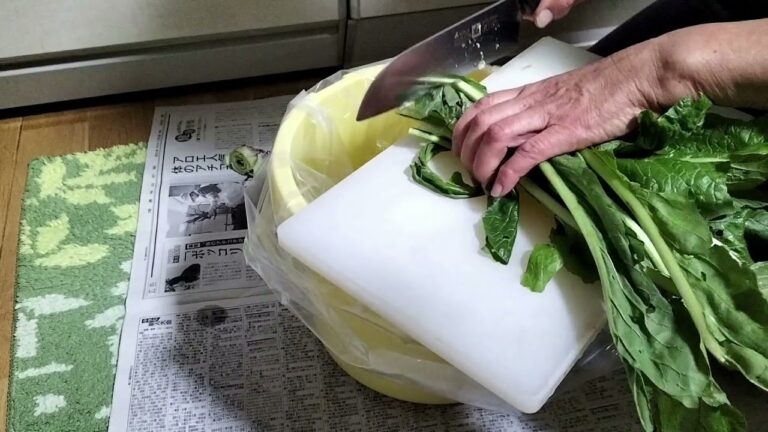 源助かぶ菜の漬物