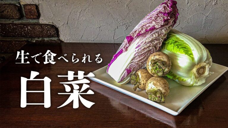 生で食べられる白菜とカブのイタリアンサラダ　[冬野菜][バルサミコドレッシング][ほったらかしグルメ]