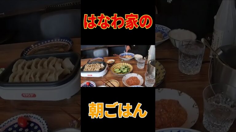 【元輝と朝ごはん🍚】ママ手作り肉豆腐＆鯖の味噌煮＆SEIYU西友の餃子【メシがモリモリ進む朝ごはん】【実家飯】#shorts