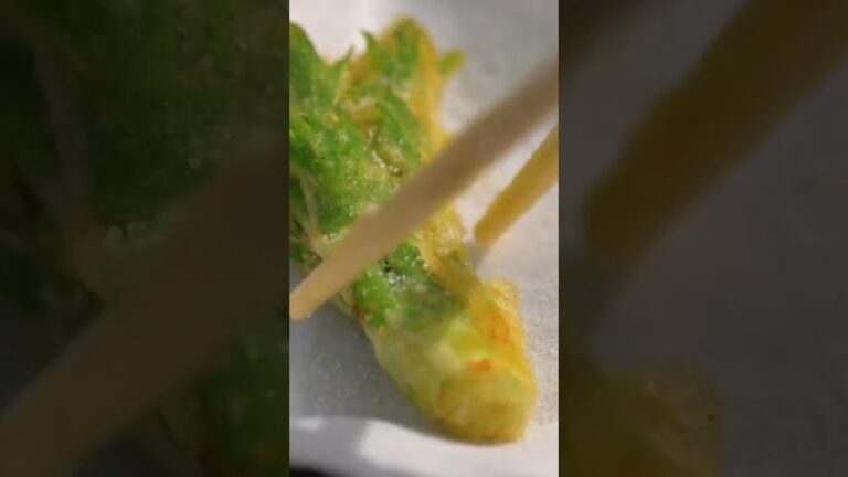 タラの芽の天ぷら［山菜料理］