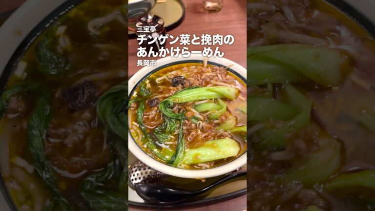 【三宝亭】チンゲン菜と挽肉のあんかけらーめん（2023年3月／長岡市）