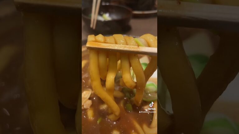 よく来たわね！これが名古屋の味噌煮込みうどんよ！愛知来たらこれを食べずにはいられないわね！あと手羽先と味噌かつも美味しいわ！ (山本屋本家) 【名古屋グルメ】 #shorts