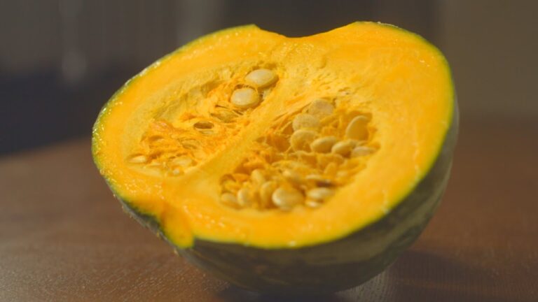 【かぼちゃ レシピ 】リピ確定！感動するほど うまい かぼちゃ 3品