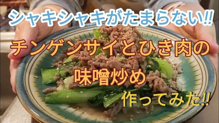 #51【簡単料理】チンゲンサイとひき肉の味噌炒め😋大きめに切ったチンゲンサイを口いっぱい頬張る幸せ💓