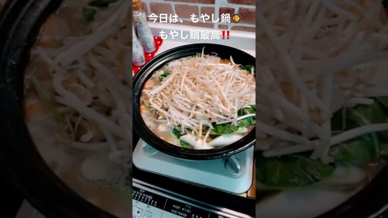 #鍋 #鍋物 #鍋料理 #もやし鍋#仲良し家族 #ハイエースワゴン #愛犬チワワ #アウトドアファミリー #子供 #愛車